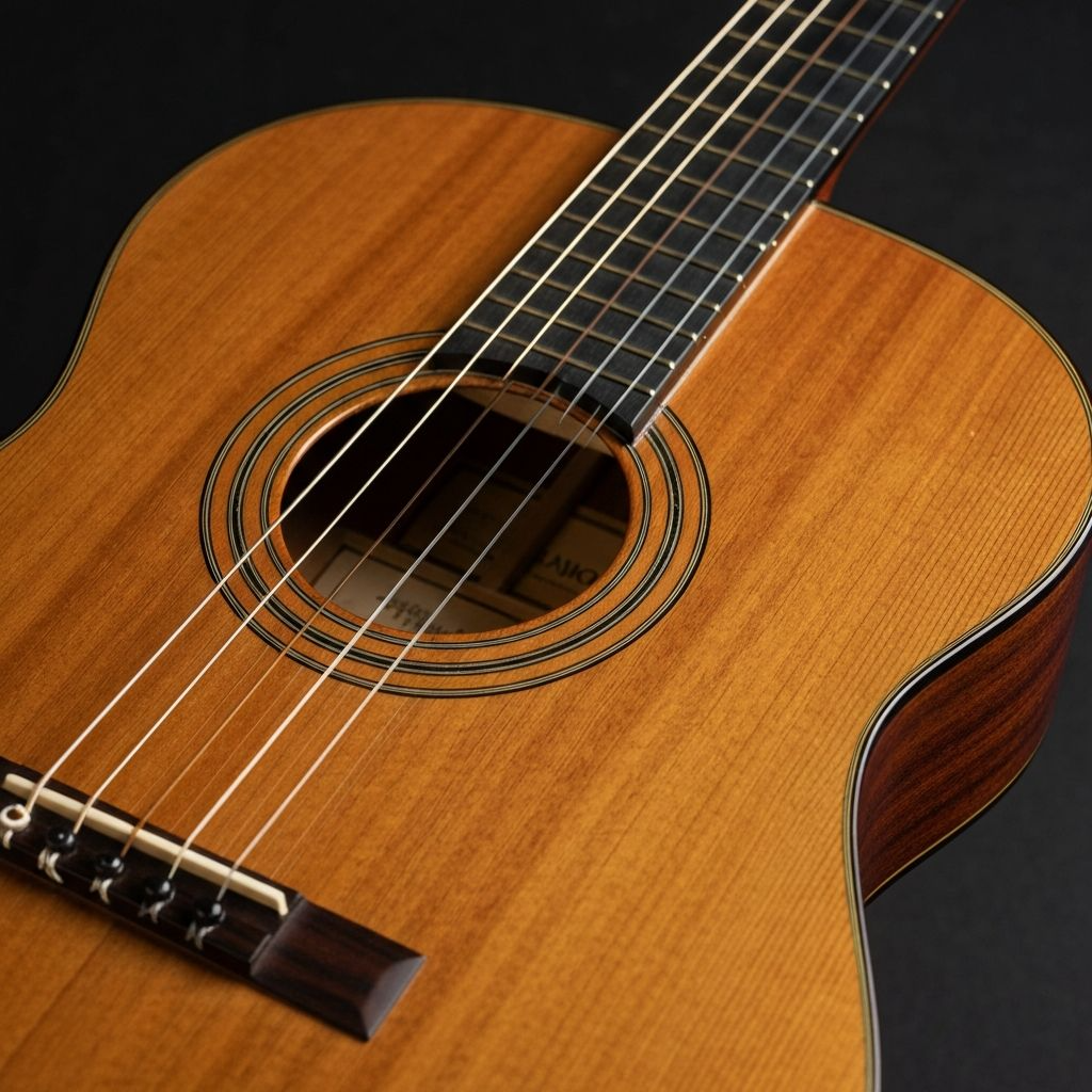 Classical Guitar